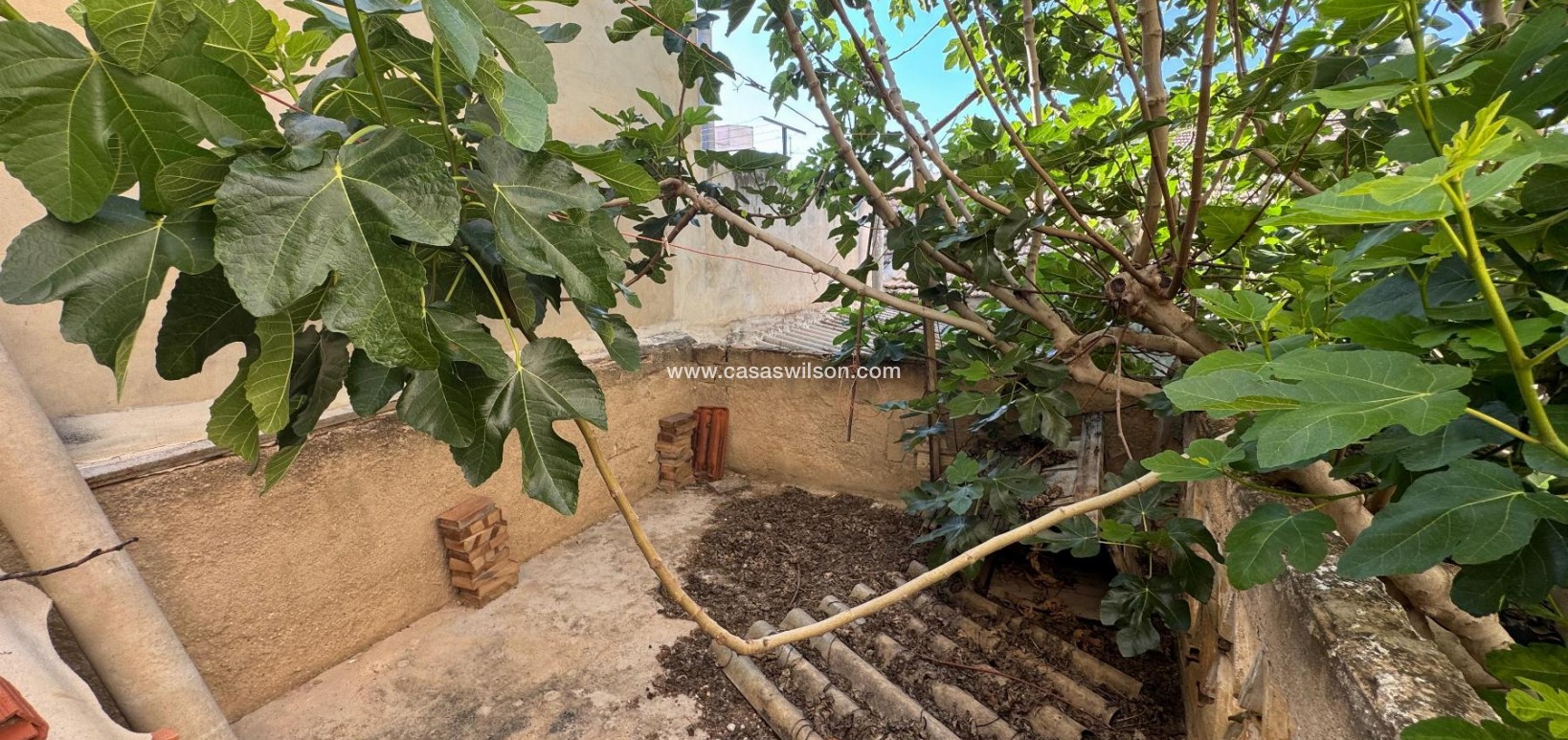 Sale - Villa - Benejúzar - Inland