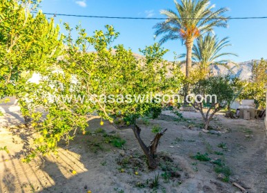 Sale - Country Property/Finca - Orihuela - Inland