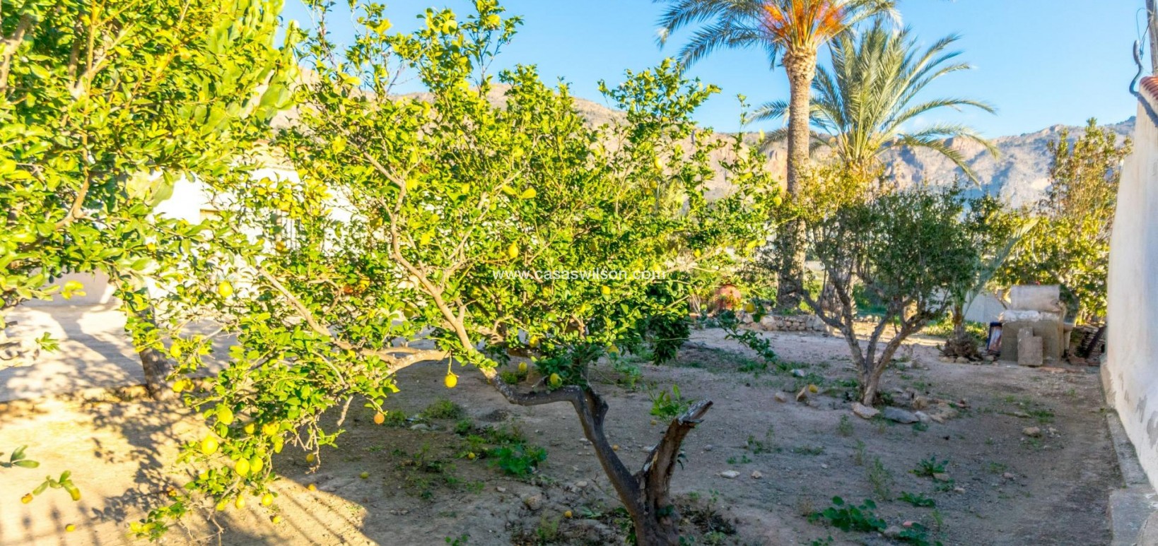 Sale - Country Property/Finca - Orihuela - Inland