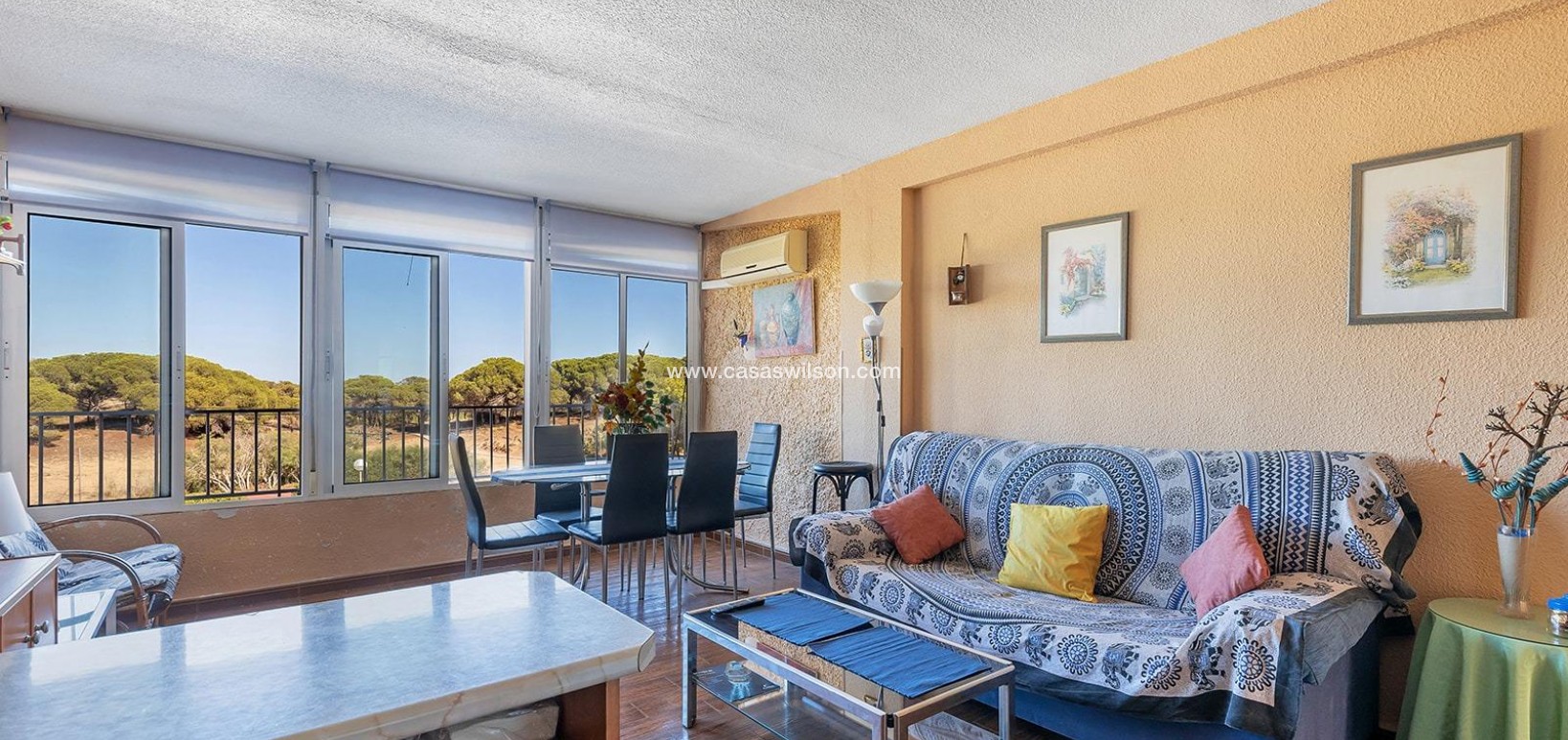 Sale - Apartment - Guardamar del Segura - Costa Blanca