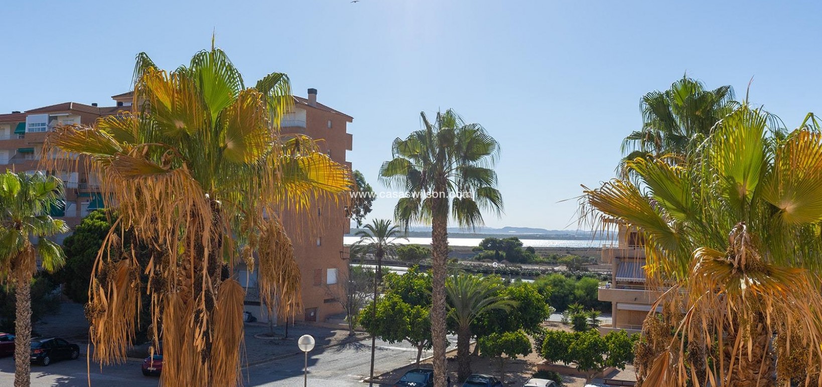 Sale - Apartment - Guardamar del Segura - Costa Blanca
