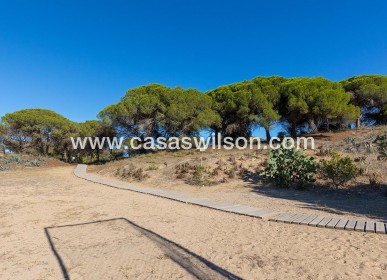 Sale - Apartment - Guardamar del Segura - Costa Blanca