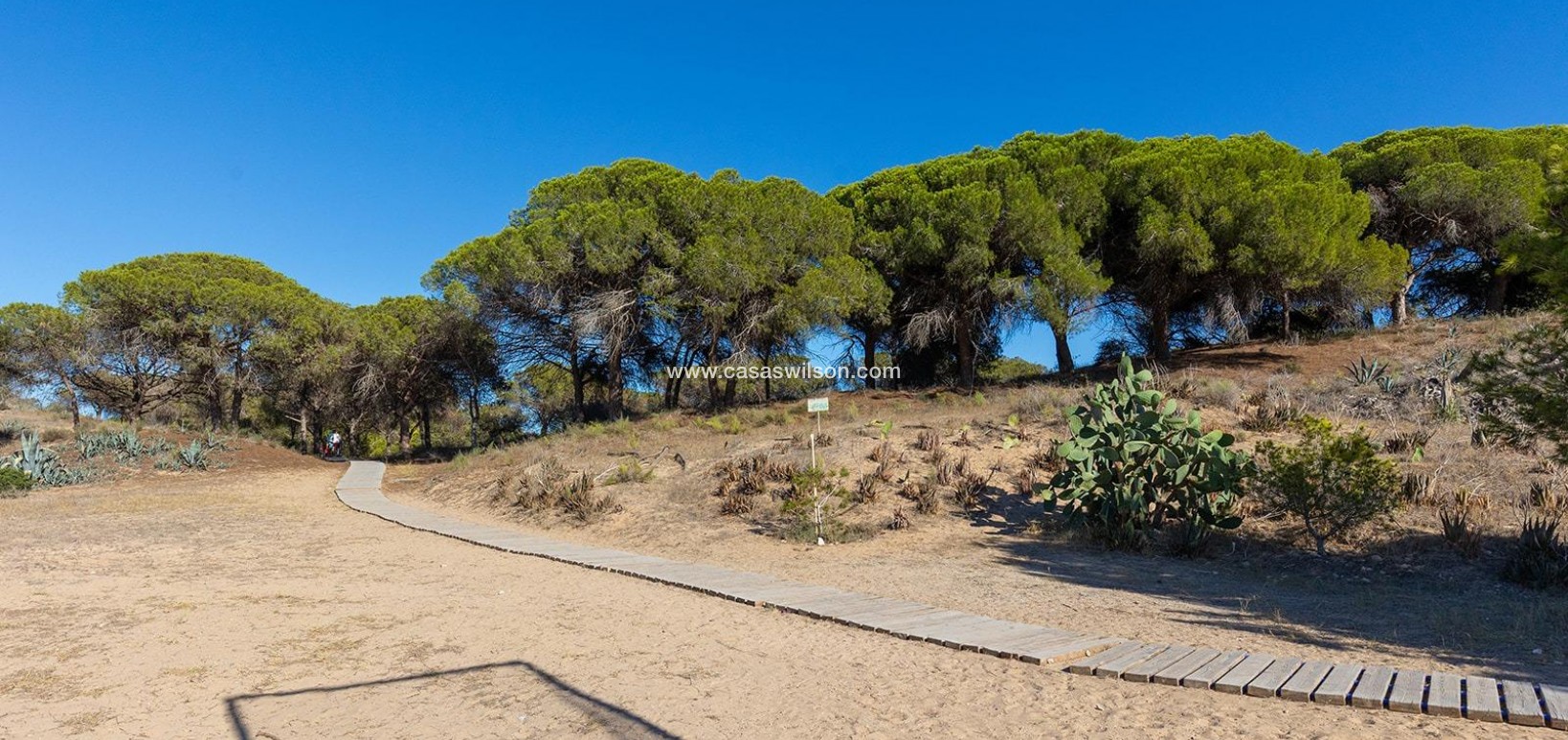 Sale - Apartment - Guardamar del Segura - Costa Blanca