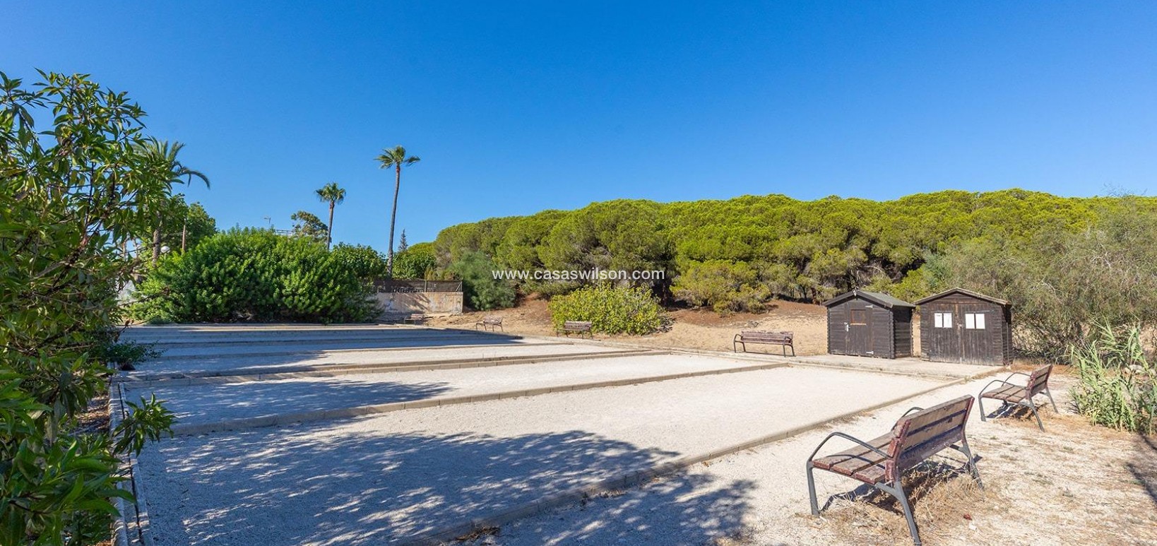 Sale - Apartment - Guardamar del Segura - Costa Blanca