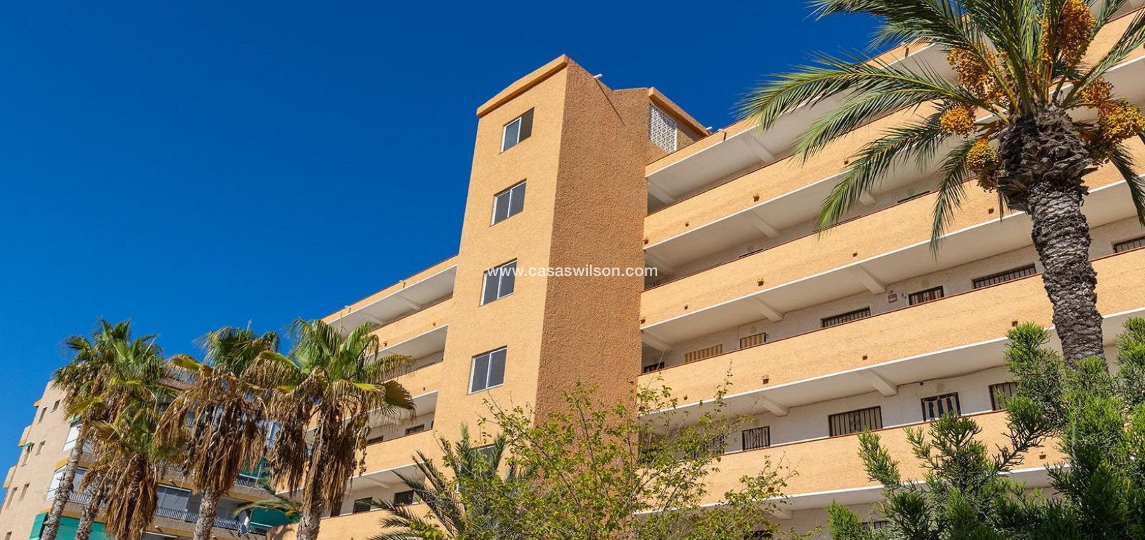 Sale - Apartment - Guardamar del Segura - Costa Blanca