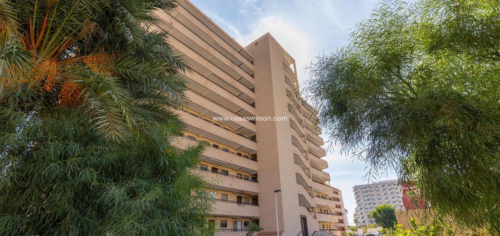 Sale - Apartment - Torrevieja - Costa Blanca