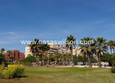 Sale - Apartment - Torrevieja - Costa Blanca
