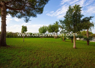 Sale - Apartment - Torrevieja - Costa Blanca