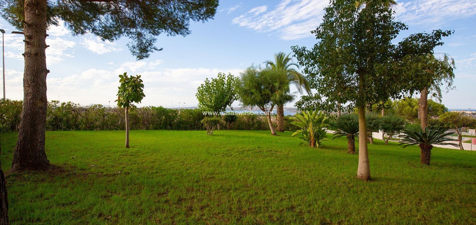 Sale - Apartment - Torrevieja - Costa Blanca