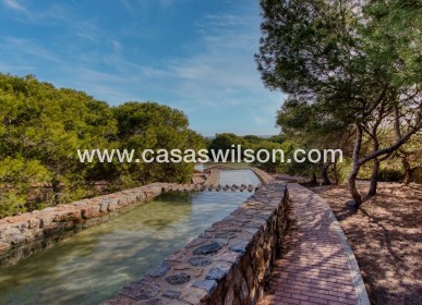 Venta - Apartamento - Torrevieja - Costa Blanca