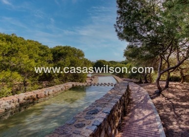 Sale - Bungalow - Torrevieja - Costa Blanca