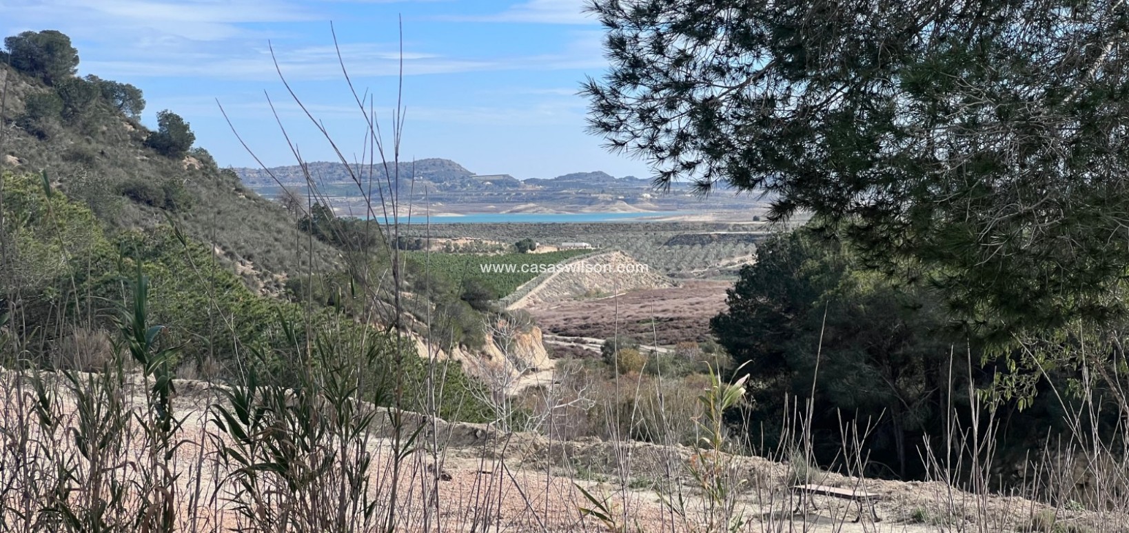 Sale - Country Property/Finca - Torremendo