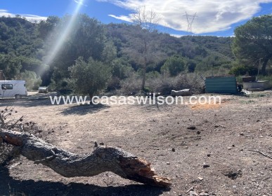 Sale - Country Property/Finca - Torremendo
