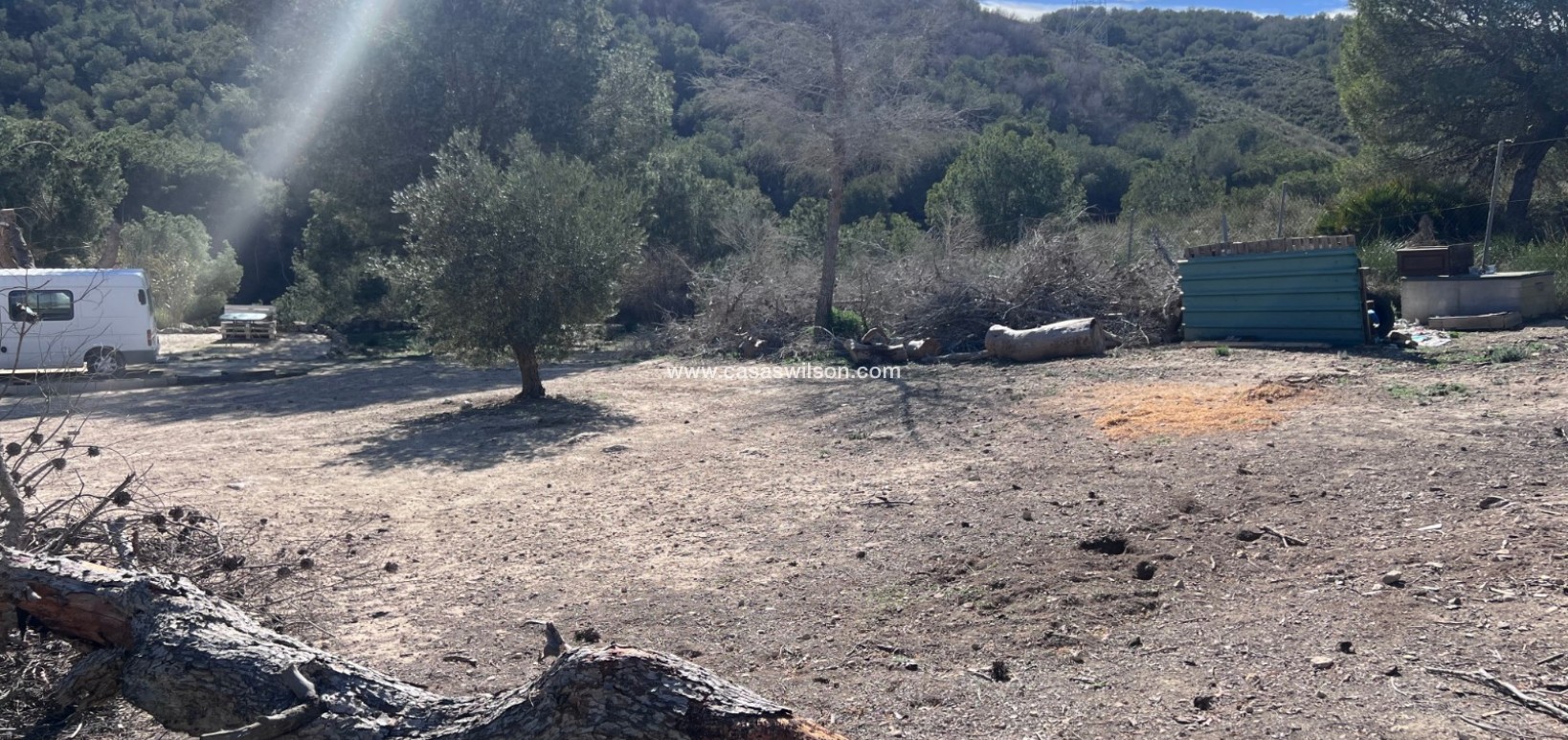 Sale - Country Property/Finca - Torremendo