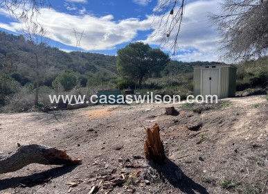 Sale - Country Property/Finca - Torremendo