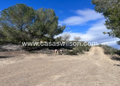 Sale - Country Property/Finca - Torremendo