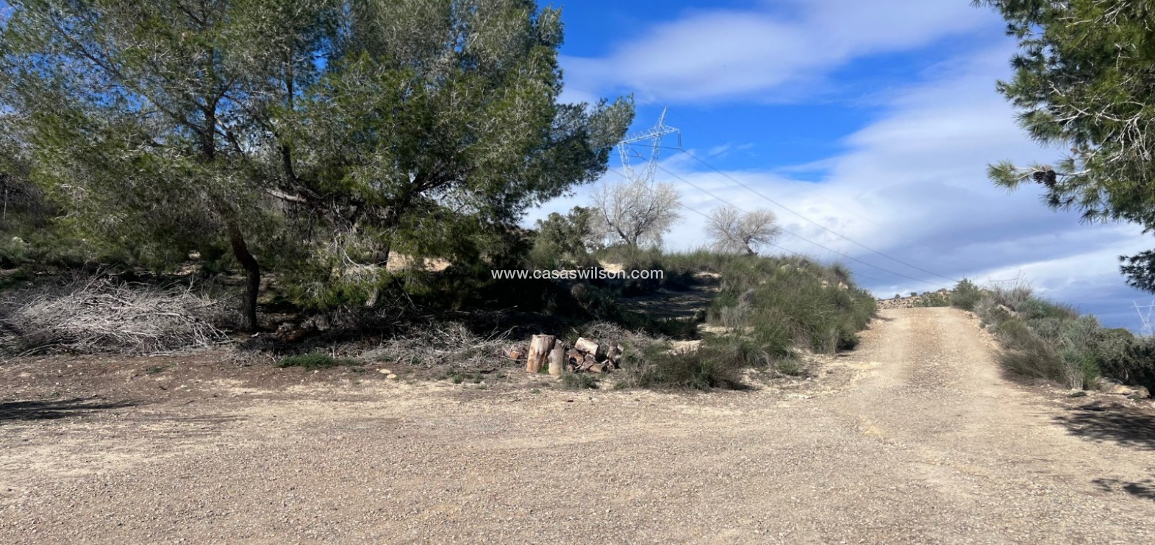 Sale - Country Property/Finca - Torremendo