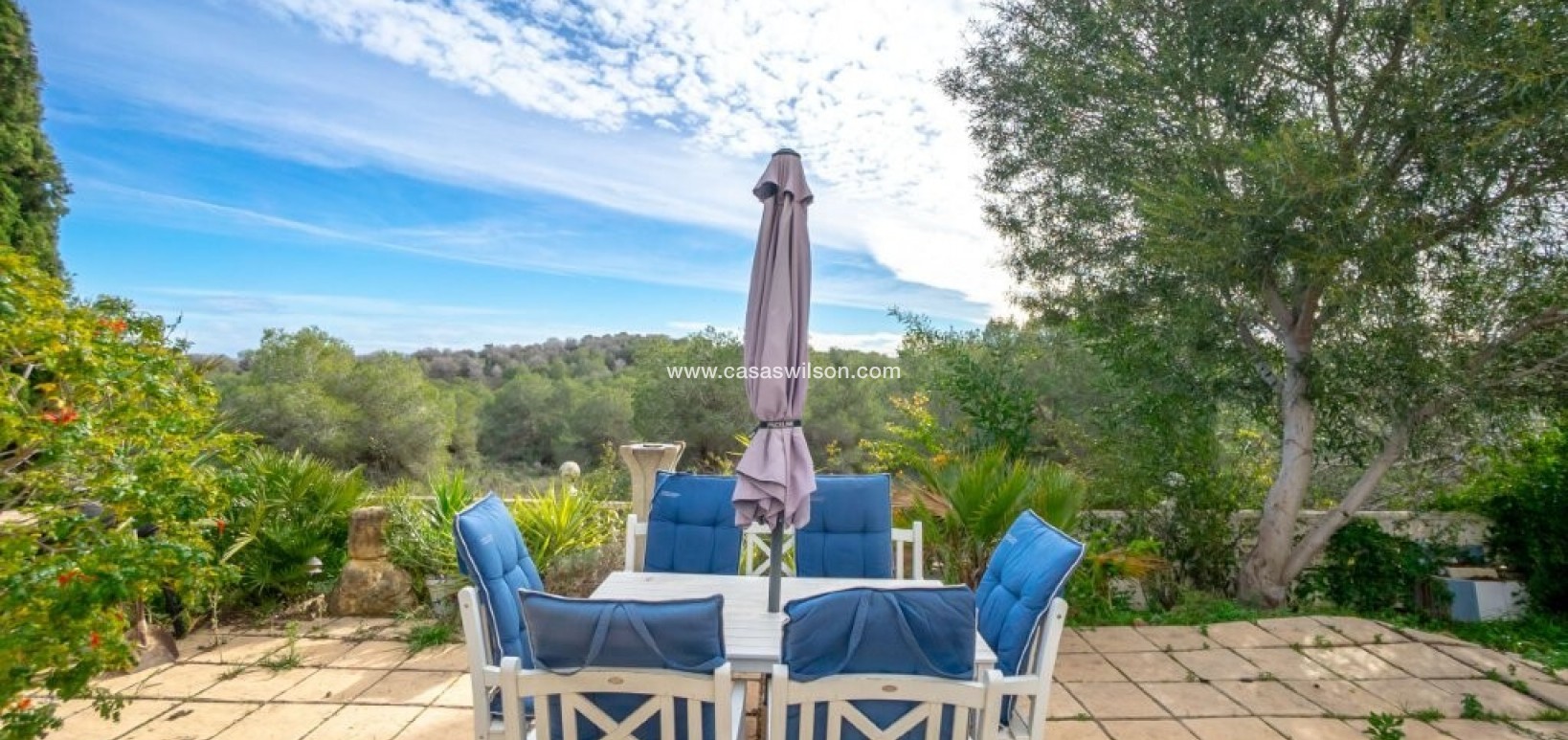 Venta - Chalet - Algorfa - Montemar