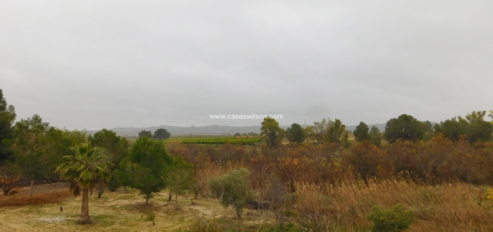 Venta - Apartamento - Torremendo