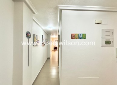 Venta - Apartamento - Torrevieja