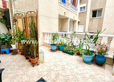 Sale - Appartement - Torrevieja - Centro