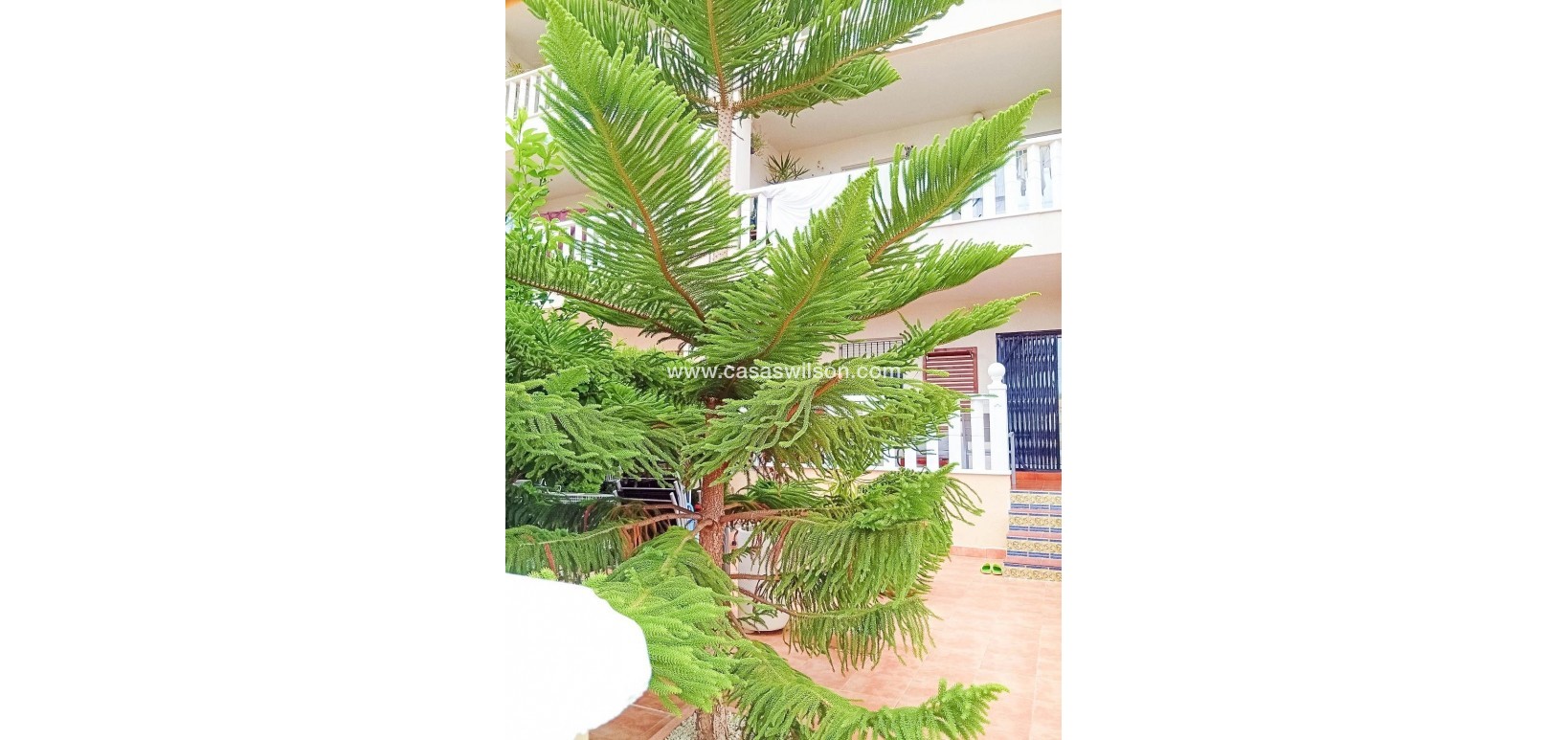 Sale - Bungalow - Orihuela Costa - Lomas De Cabo Roig-los Dolses