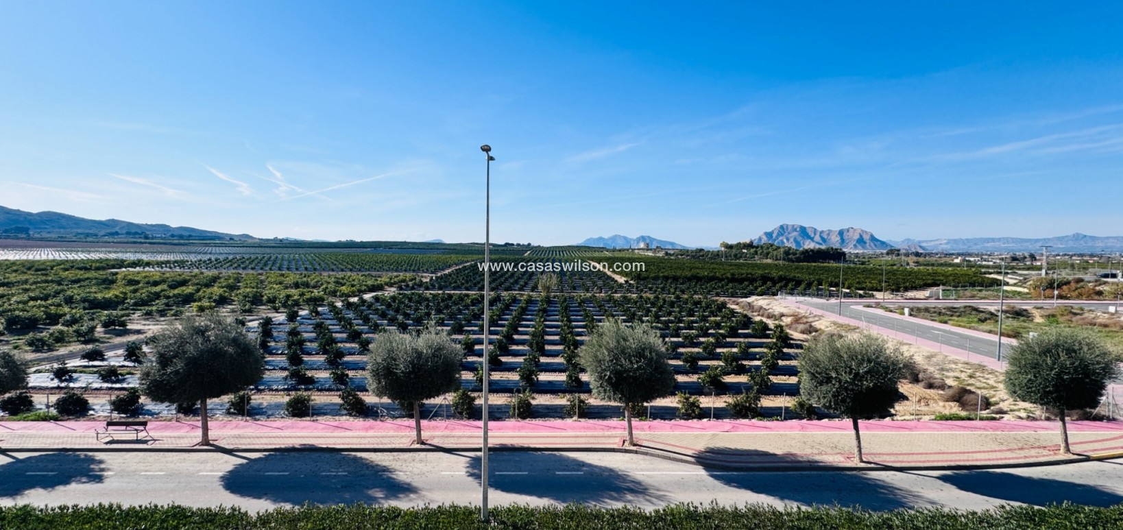 Sale - Apartment - Algorfa