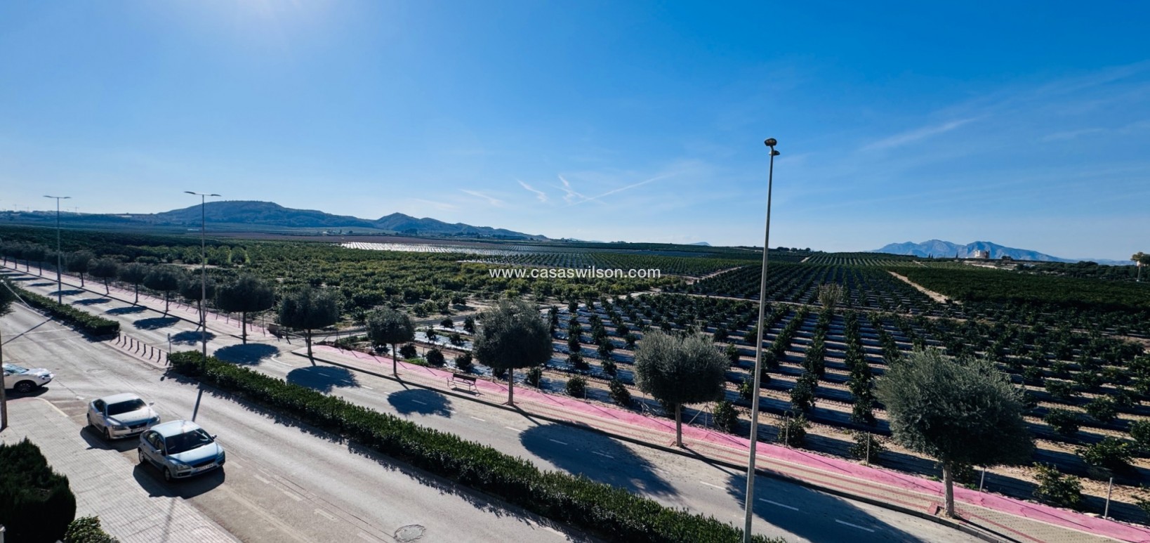 Sale - Apartment - Algorfa