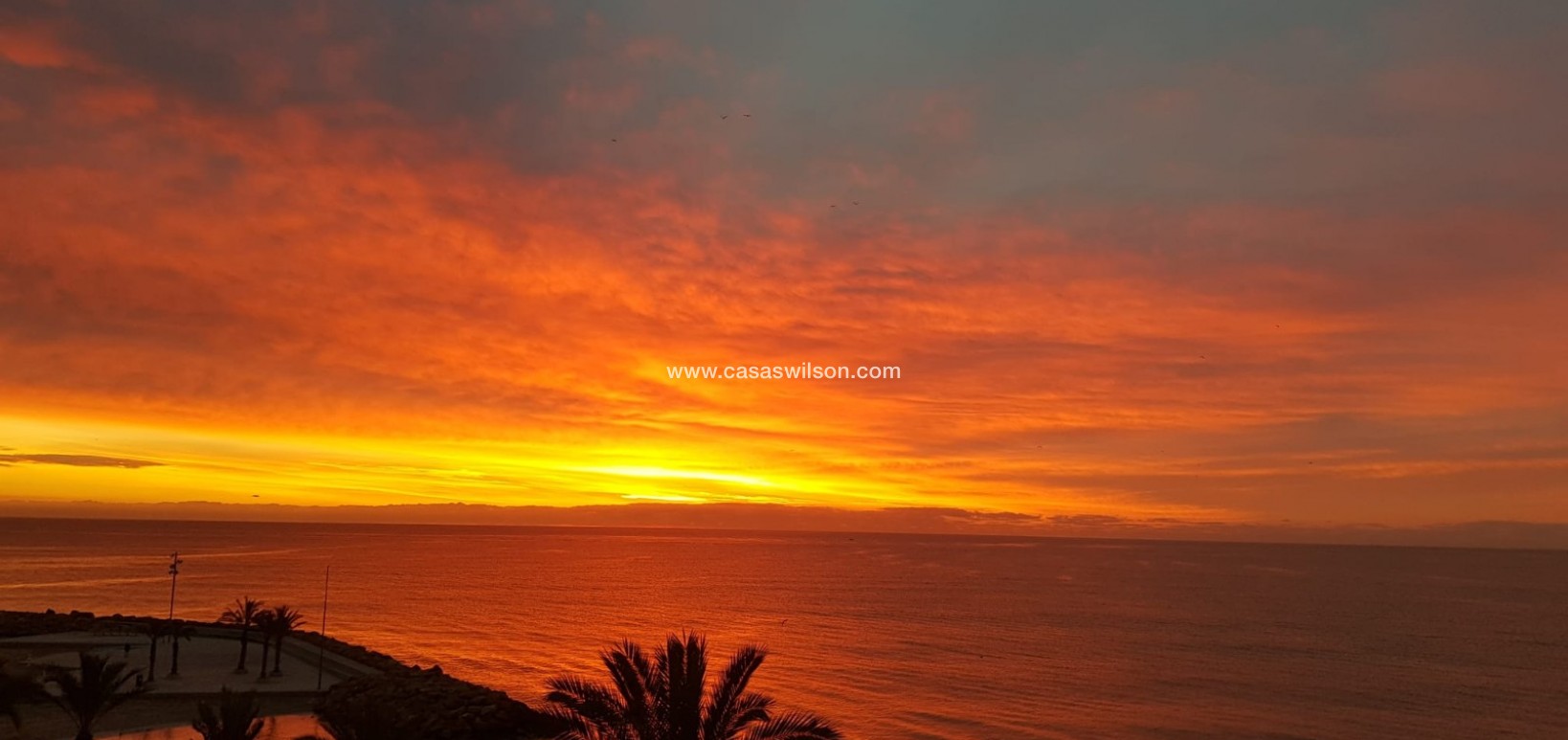 Sale - Appartement - Torrevieja - Playa del Cura