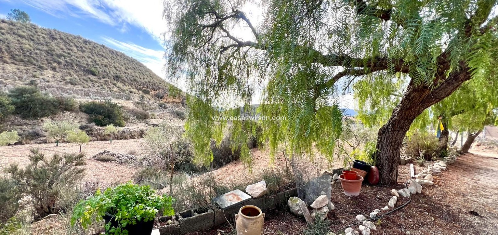 Sale - Villa - Monóvar/Monóver - Inland