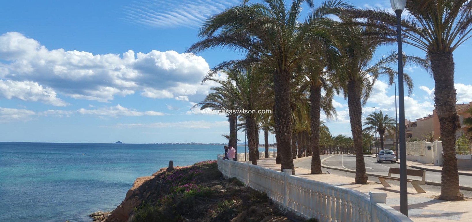 Venta - Chalet - Torre de Horadada - Costa Blanca