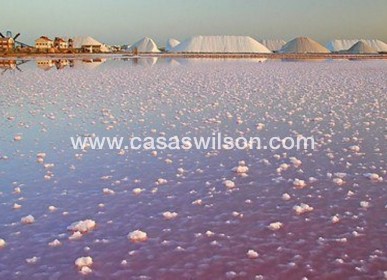 Venta - Chalet - Torre de Horadada - Costa Blanca