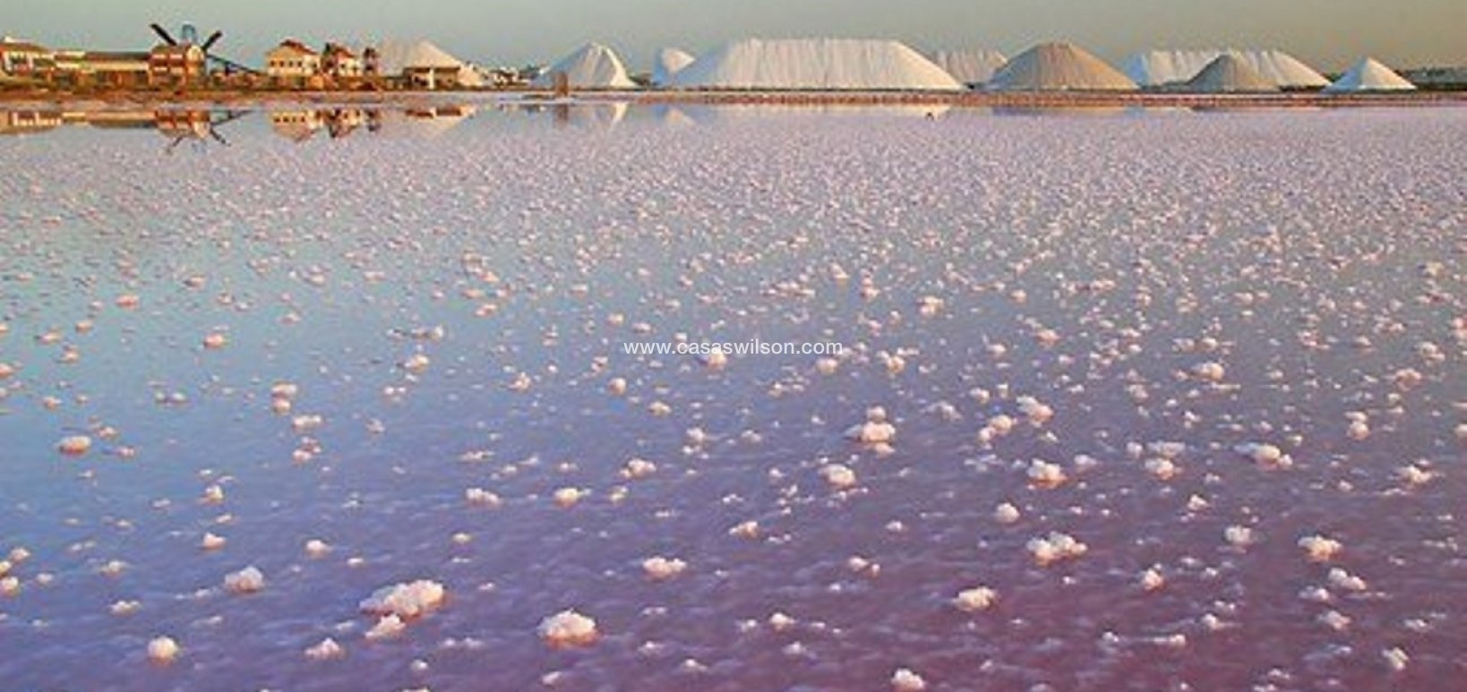 Venta - Chalet - Torre de Horadada - Costa Blanca