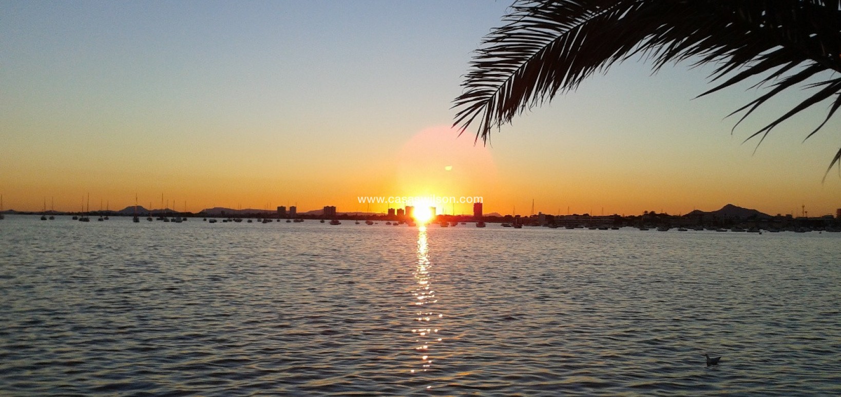 Venta - Chalet - Torre de Horadada - Costa Blanca