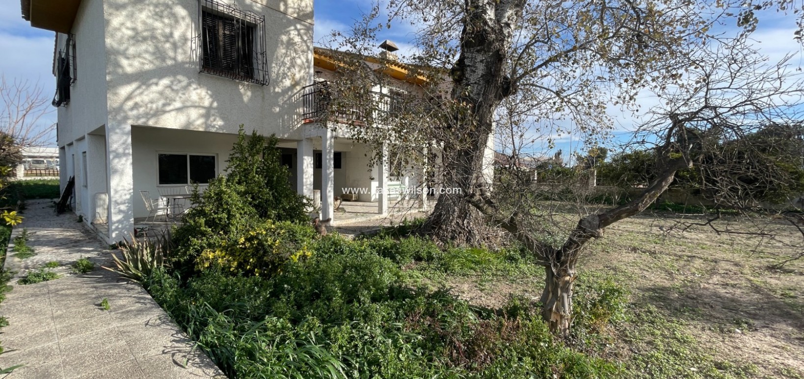 Venta - Chalet - Benejúzar - Inland