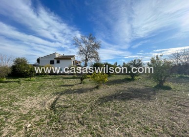 Venta - Chalet - Benejúzar - Inland