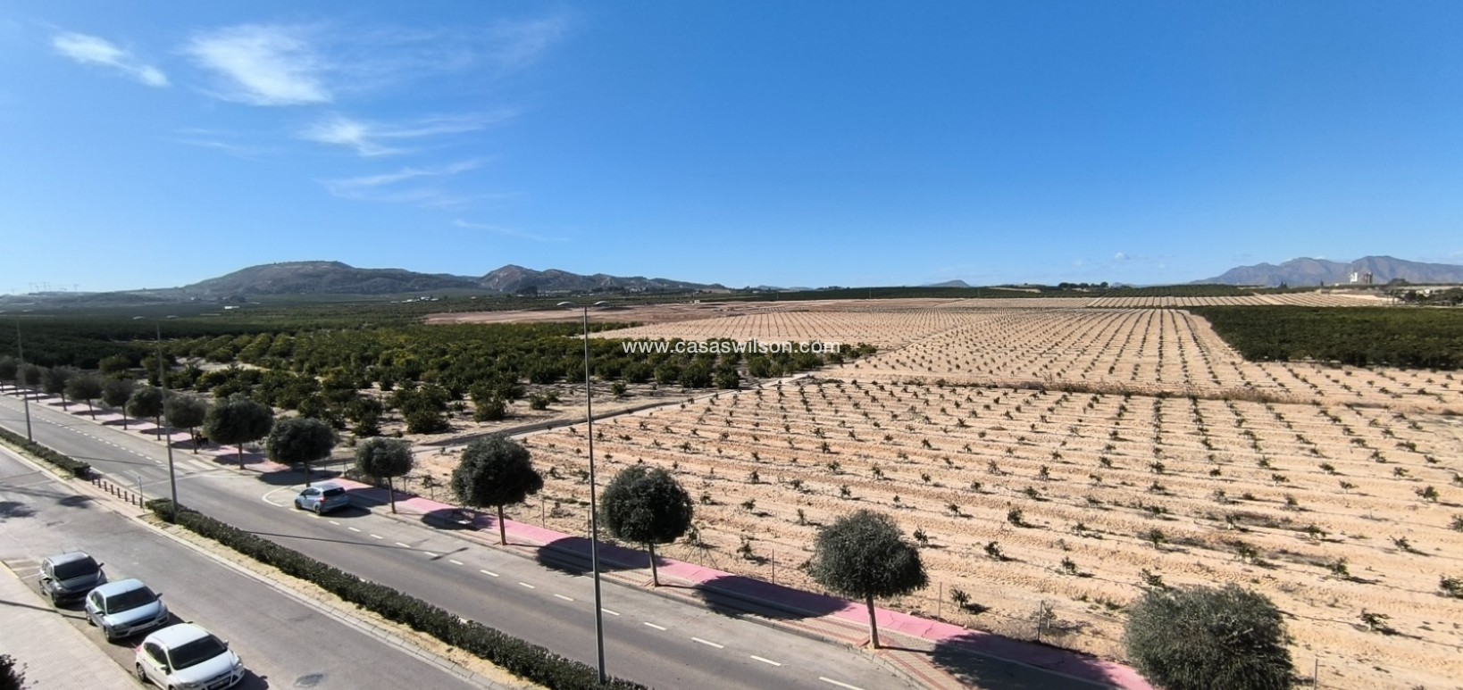 Sale - Apartment - Algorfa