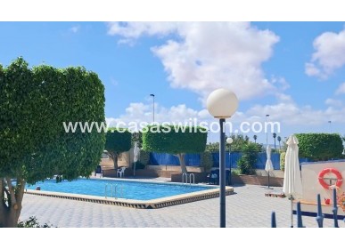 Sale - Apartment - Torrevieja - Parque Acuático - Sector 25