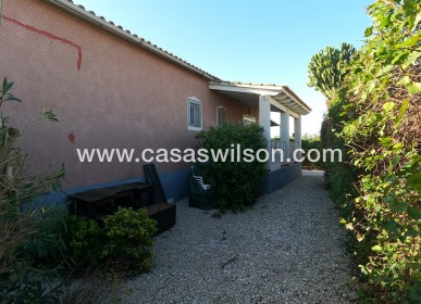 Venta - Finca - Orihuela