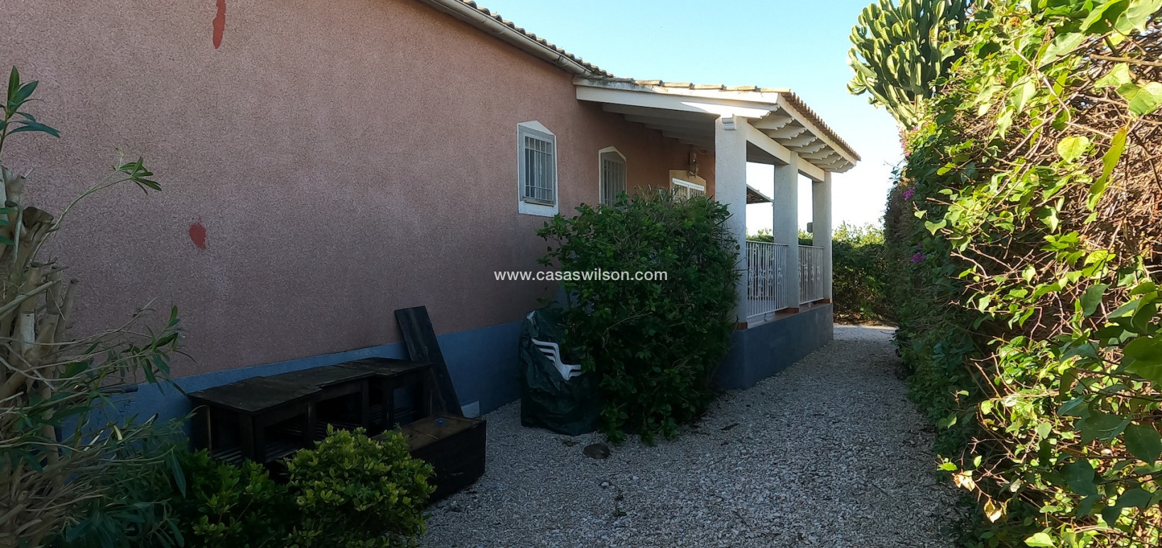 Venta - Finca - Orihuela