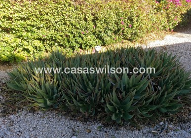 Venta - Finca - Orihuela