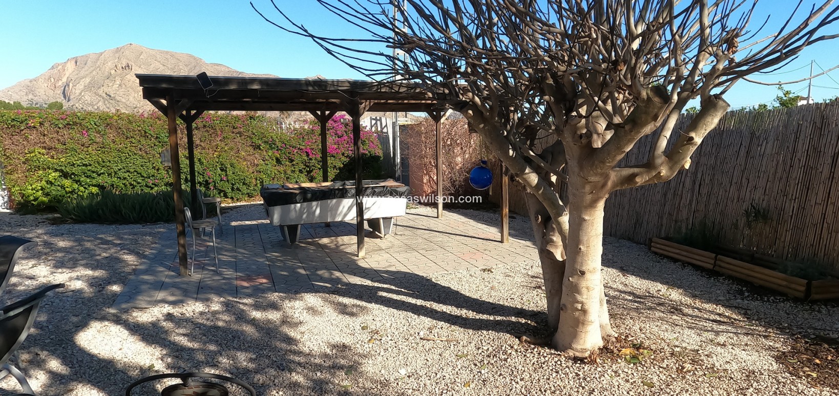 Venta - Finca - Orihuela