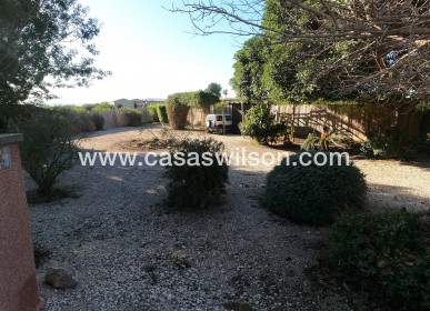 Venta - Finca - Orihuela