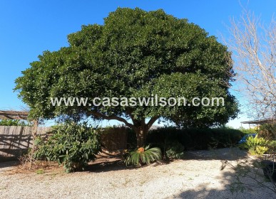 Venta - Finca - Orihuela