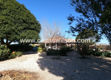 Venta - Finca - Orihuela