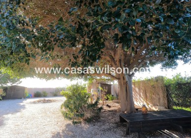 Venta - Finca - Orihuela