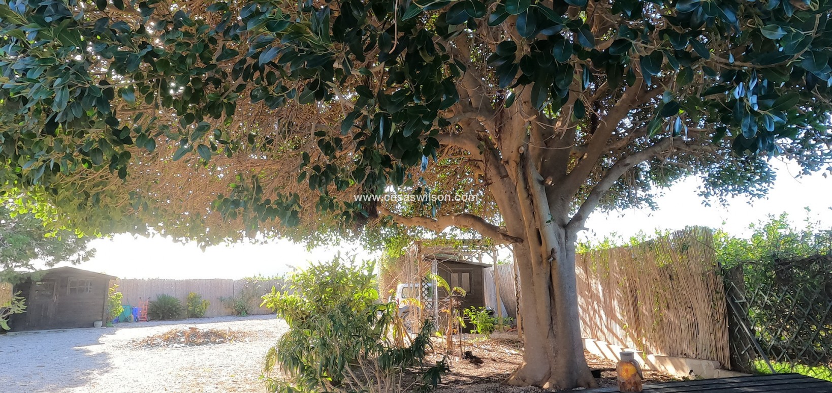 Venta - Finca - Orihuela