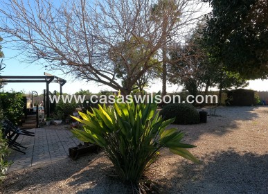 Venta - Finca - Orihuela