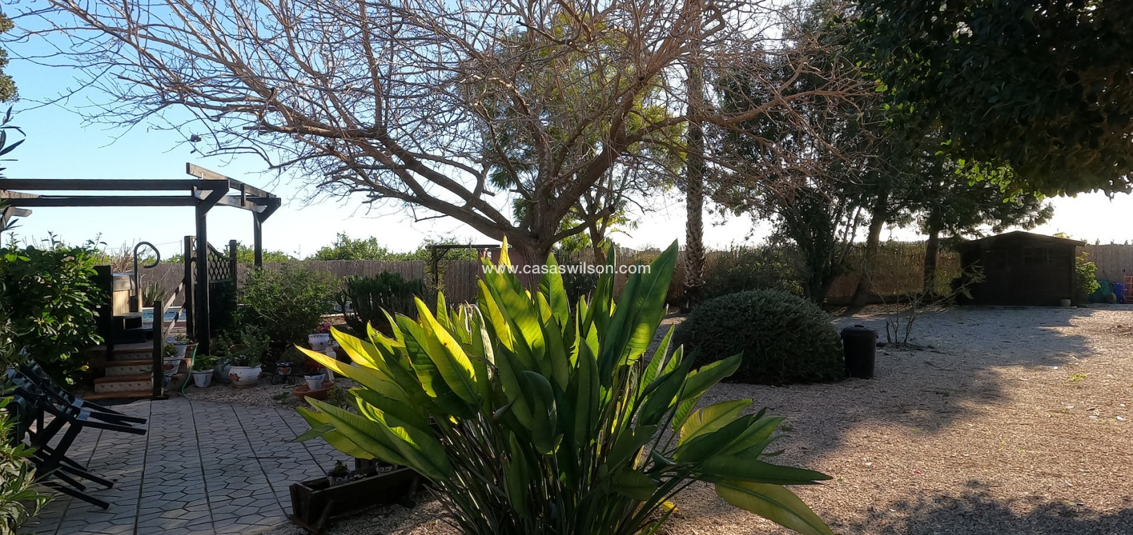 Venta - Finca - Orihuela