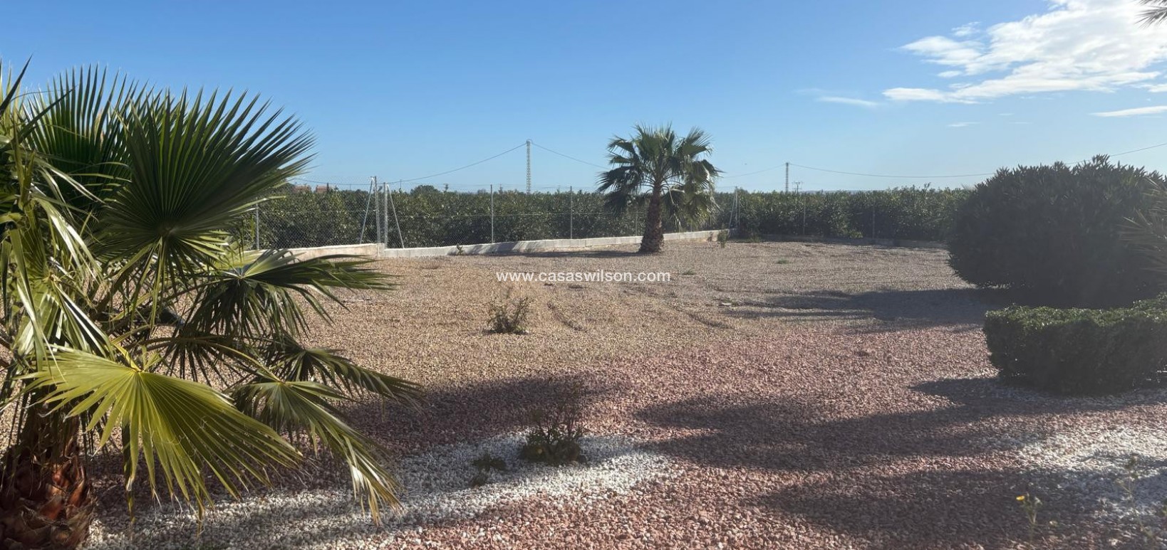 Sale - Villa - Albatera